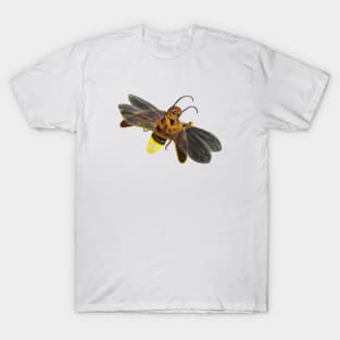 Little Glowing Bug Firefly Lampyridae Illustration T-Shirt